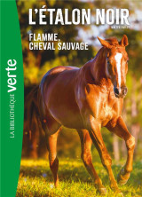 L'etalon noir tome 10 : flamme cheval sauvage