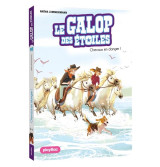 Le galop des étoiles - chevaux en danger - tome 10