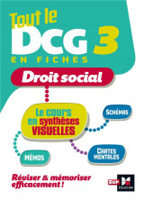 Tout le dcg 3 en fiches  -  droit social  -  le cours en syntheses visuelles (edition 2023/2024)