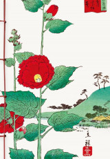 Carnet hazan les fleurs dans l-estampe japonaise 12 x 17 cm (papeterie)