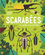 Scarabees et autres coleopteres