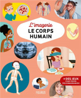 L-imagerie - le corps humain