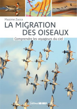 La migration des oiseaux - comprendre les voyageurs du ciel