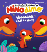 Les petites histoires de nino dino : waaaargh, c'est la nuit !