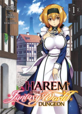 Harem in the fantasy world dungeon tome 1