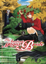 The ancient magus bride tome 3