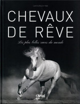 Chevaux de rêves - les plus belles races du monde