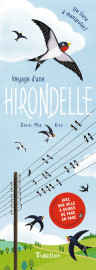 Voyage d'une hirondelle