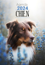 Agenda chien 2024