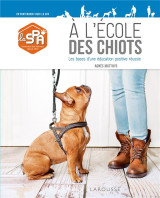 A l'ecole des chiots