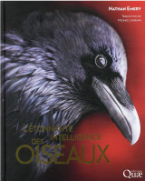 L'etonnante intelligence des oiseaux