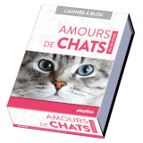 Calendrier amours de chats en 365 jours - l'année à bloc