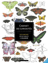 Cabinet de curiosités