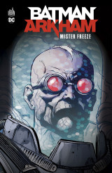 Batman arkham : mr freeze