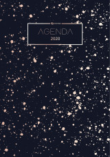 Agenda 2020 - planificateur, organiseur et calendrier 2020 - agenda journalier et agenda semainier - agenda de poche