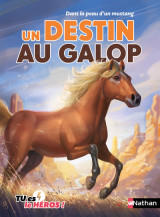 Dans la peau d'un mustang - un destin au galop