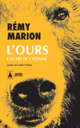 L'ours