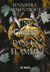 La chair et le feu (broché) - tome 02 une lumière dans la flamme