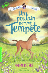 Un poulain nommé tempête