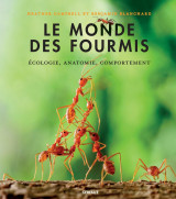 Le monde des fourmis