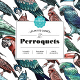 Les petits carrés d'art-thérapie perroquets