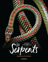 Les serpents. mystérieux et étonnants