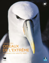 Oiseaux de l'extrême