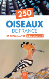 250 oiseaux de france