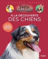 à la découverte des chiens