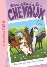 Mes amis les chevaux 18 - la mascotte du centre équestre