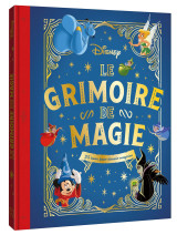 Disney - le grimoire de magie - 25 tours pour devenir magicien