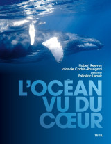 L'océan vu du c ur