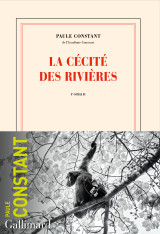 La cécité des rivières