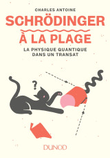 Schrödinger à la plage - la physique quantique dans un transat