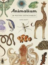 Animalium