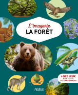 L'imagerie - la forêt