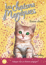 Les chatons magiques - numéro 03 entre chats