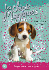 Les chiots magiques - numéro 14 un trésor inattendu
