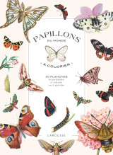 Papillons du monde à colorier