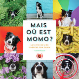 Mais où est momo ?