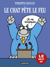 Le chat pète le feu