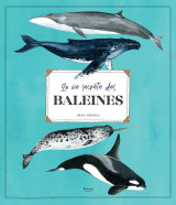 La vie secrète des baleines