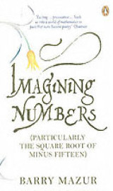 Imagining numbers