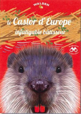 Le castor d'europe, infatigable bâtisseur