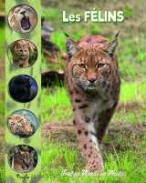 Les félins