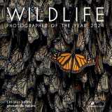 Wildlife photographer of the year 2024