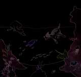 Qu'y a-t-il sous la mer?