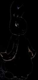 Bonjour, pierre lapin !