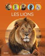 Les lions