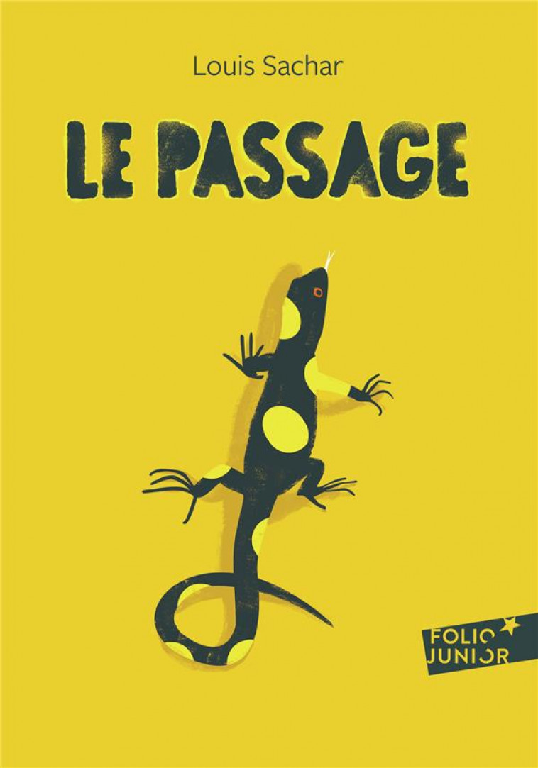 LE PASSAGE - SACHAR LOUIS - Gallimard-Jeunesse